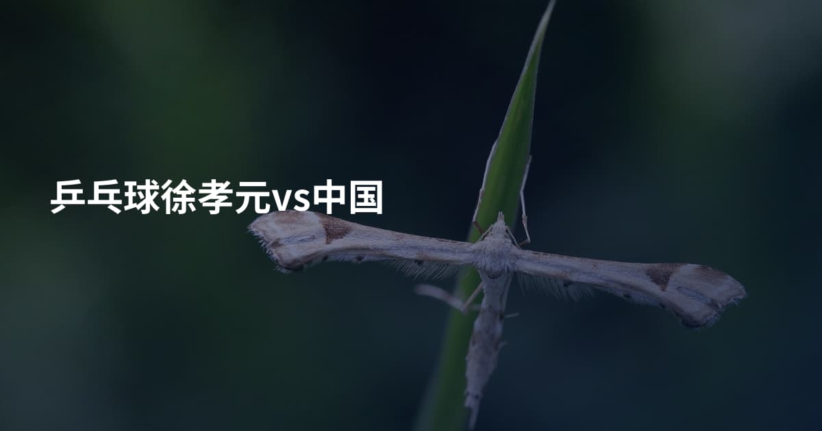 乒乓球徐孝元vs中国