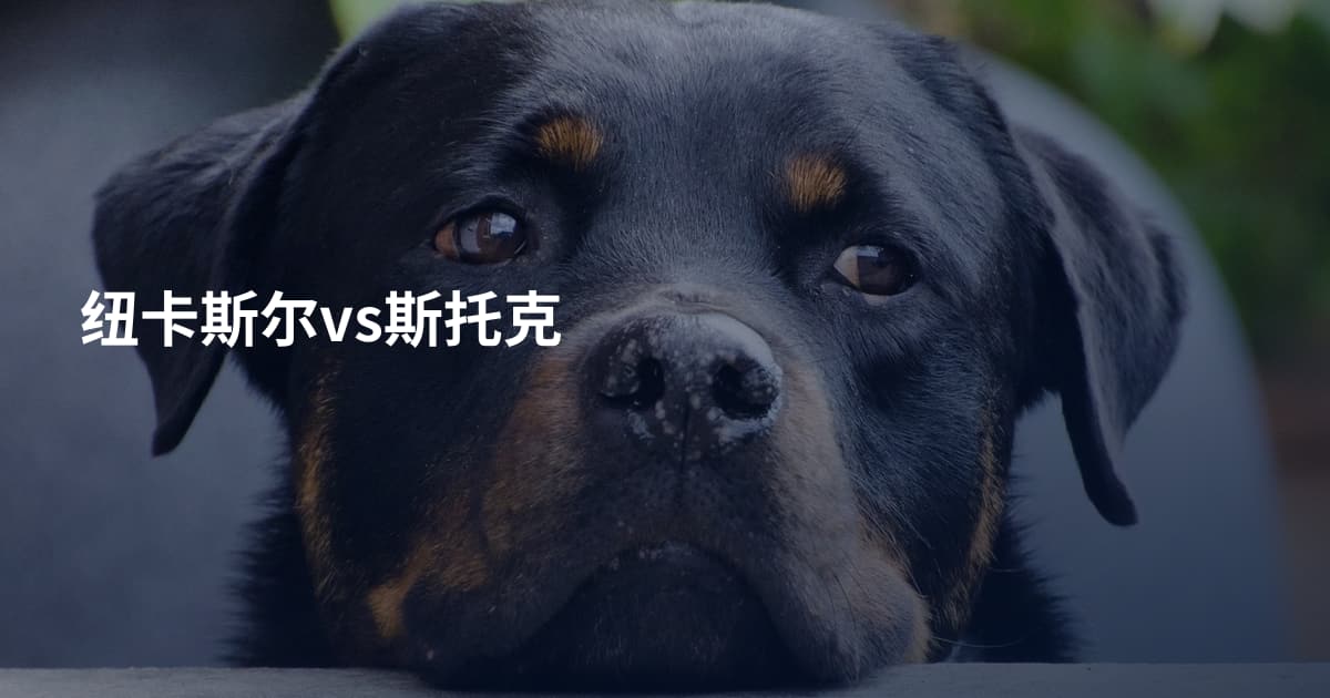 纽卡斯尔vs斯托克