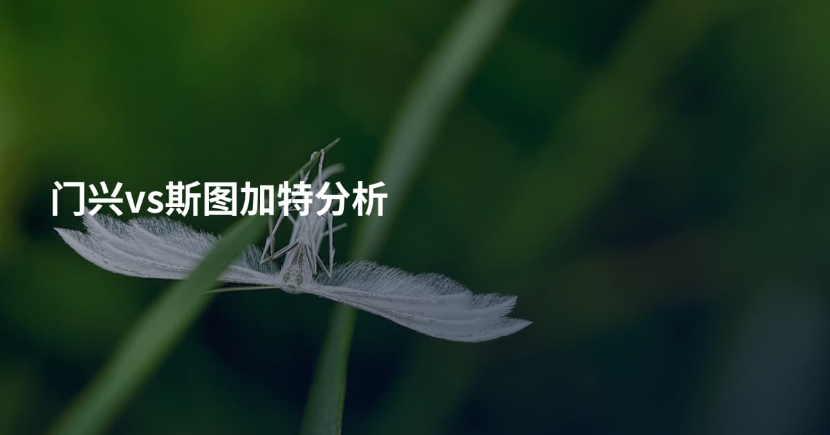 门兴vs斯图加特分析