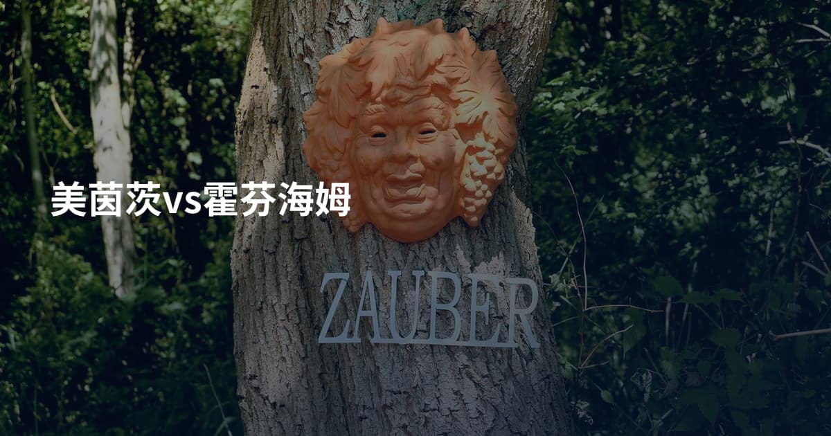 美茵茨vs霍芬海姆