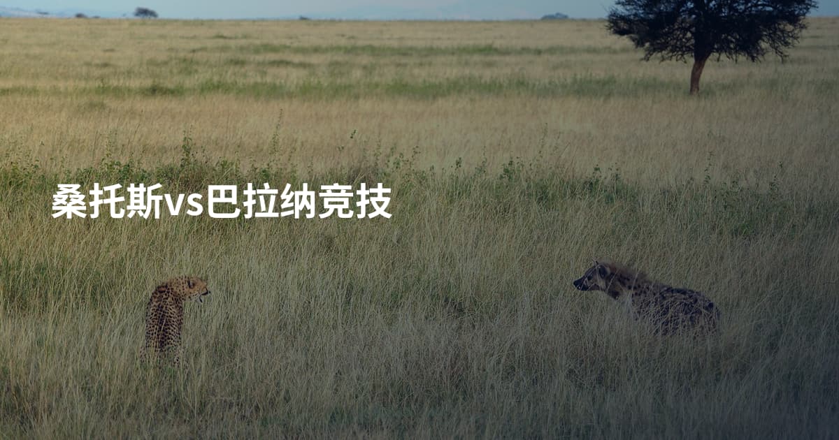 桑托斯vs巴拉纳竞技