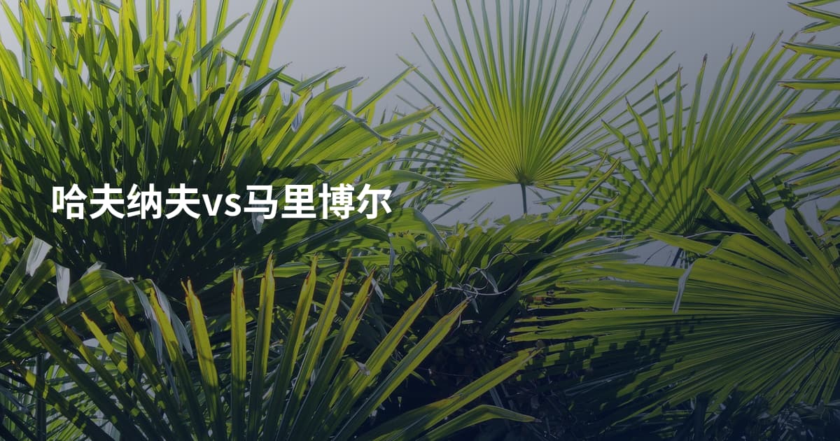 哈夫纳夫vs马里博尔