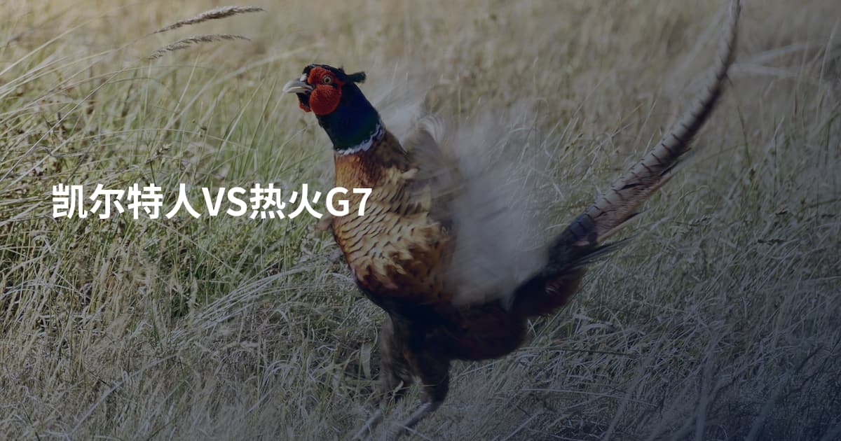 凯尔特人VS热火G7