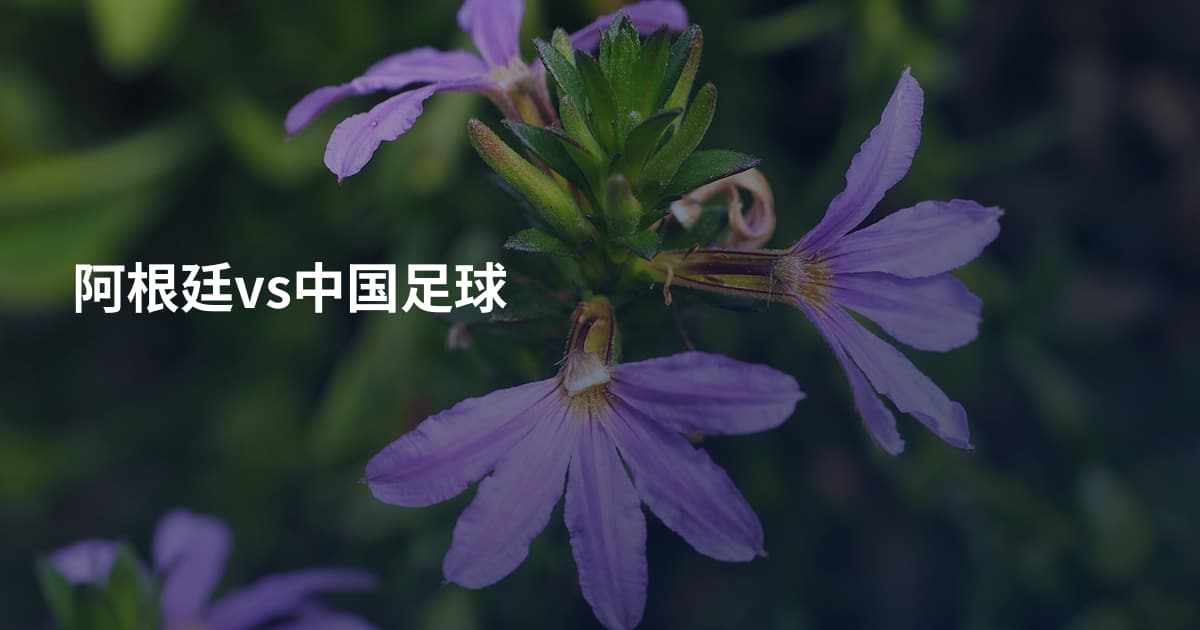 阿根廷vs中国足球