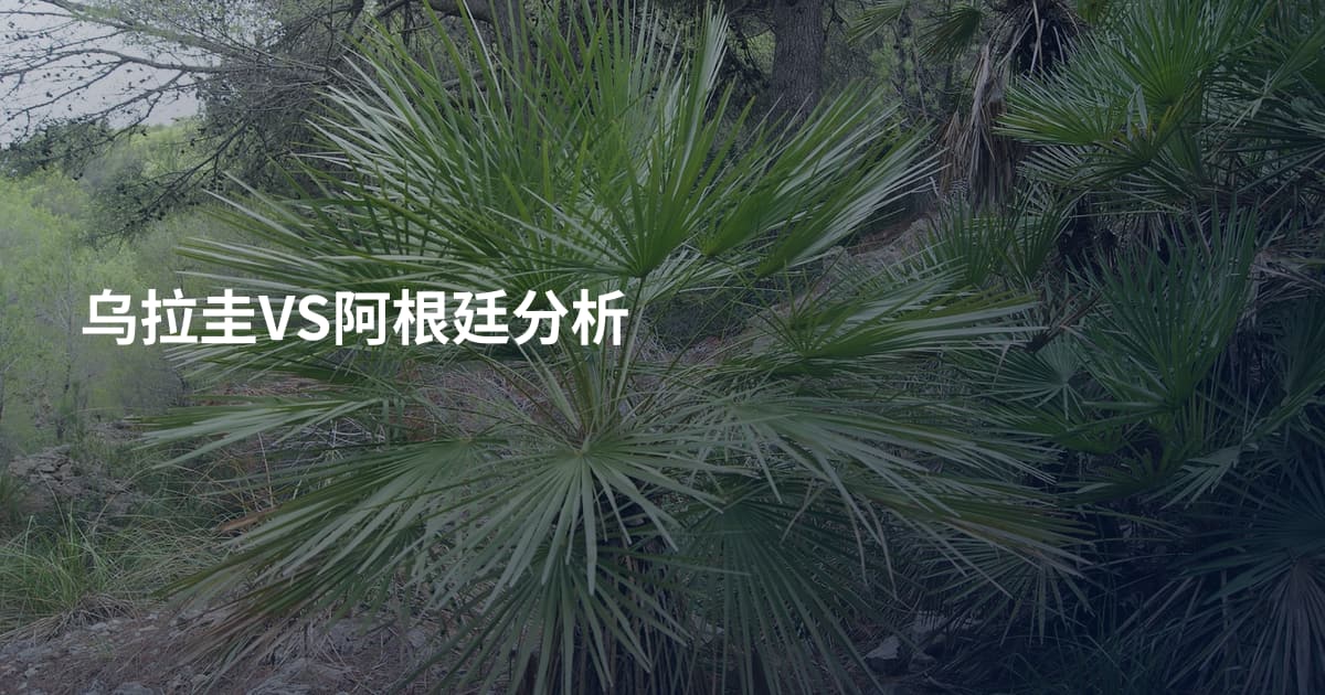 乌拉圭VS阿根廷分析
