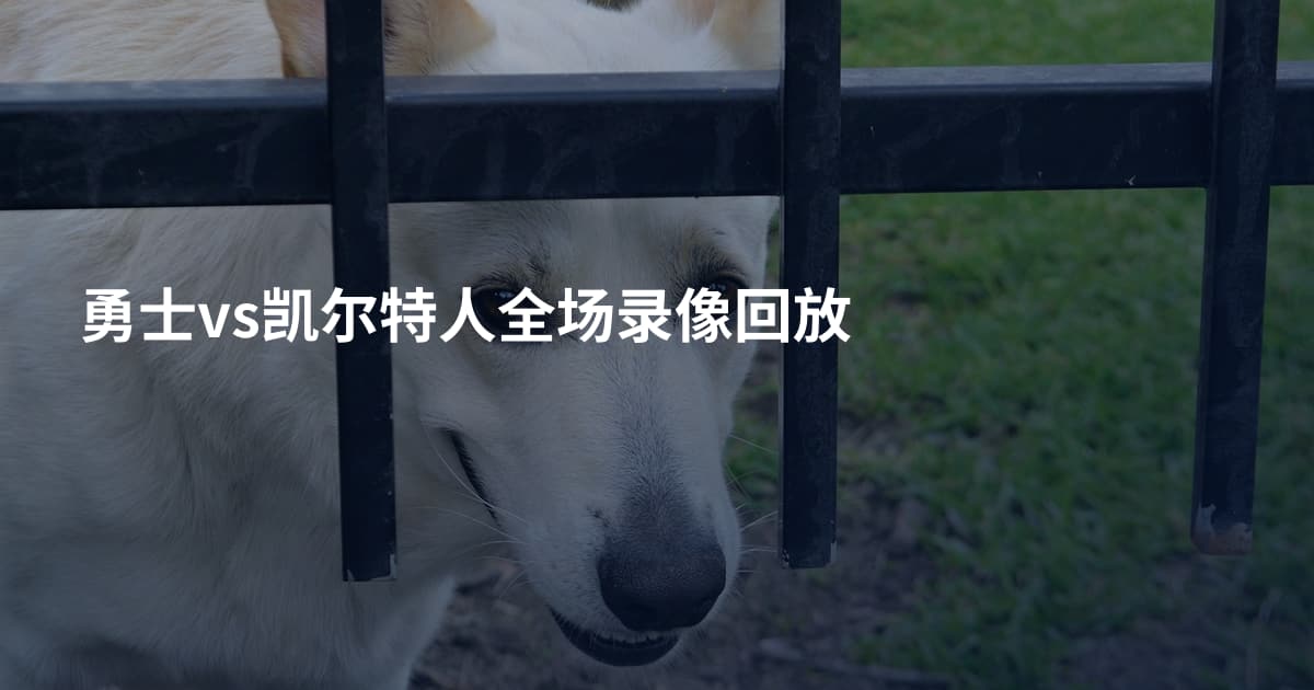 勇士vs凯尔特人全场录像回放