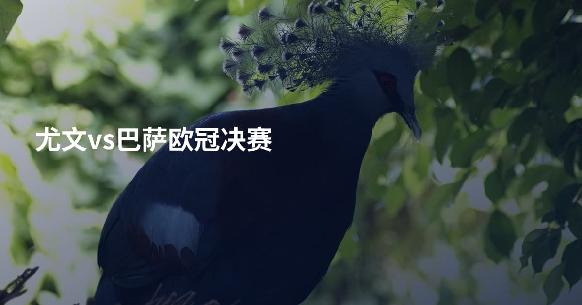 尤文vs巴萨欧冠决赛