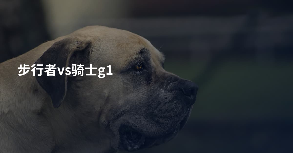 步行者vs骑士g1