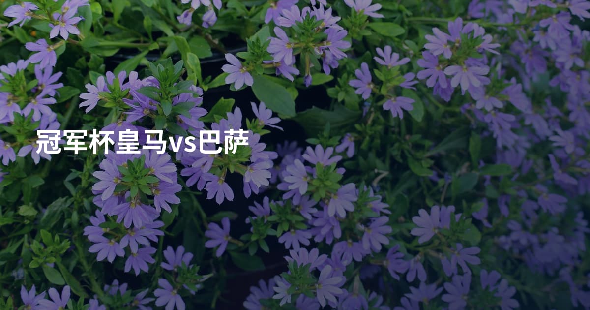 冠军杯皇马vs巴萨