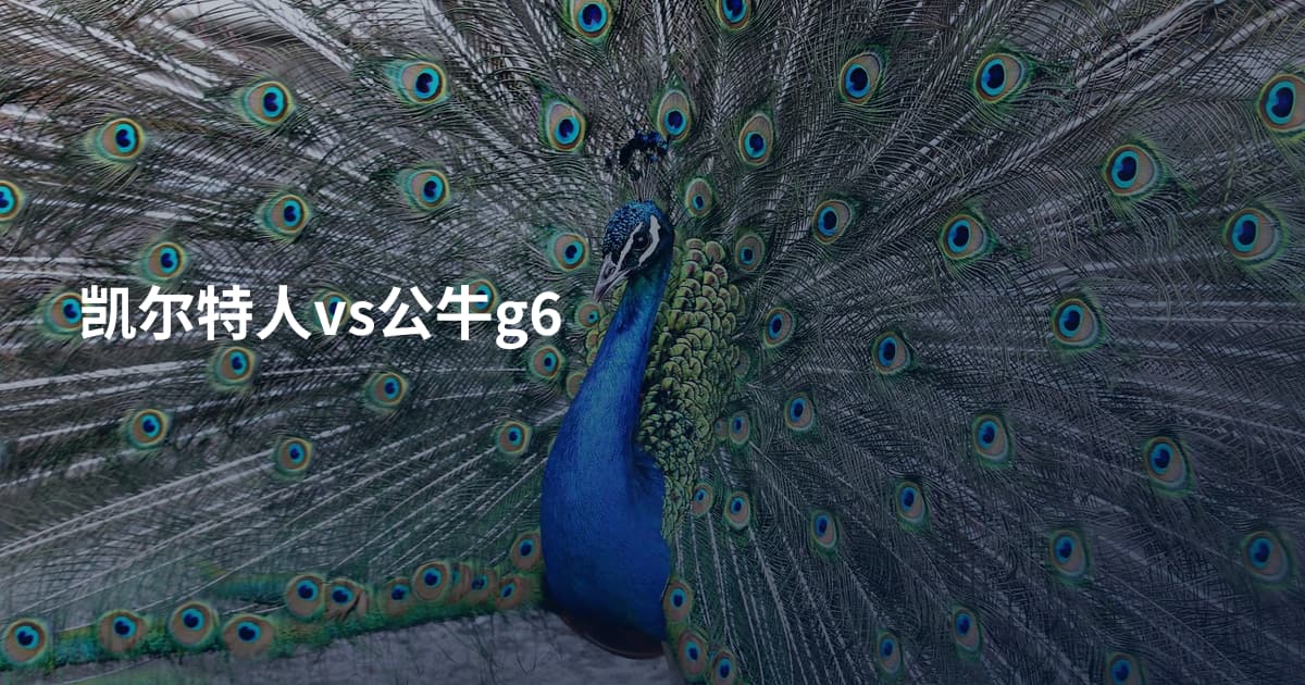 凯尔特人vs公牛g6