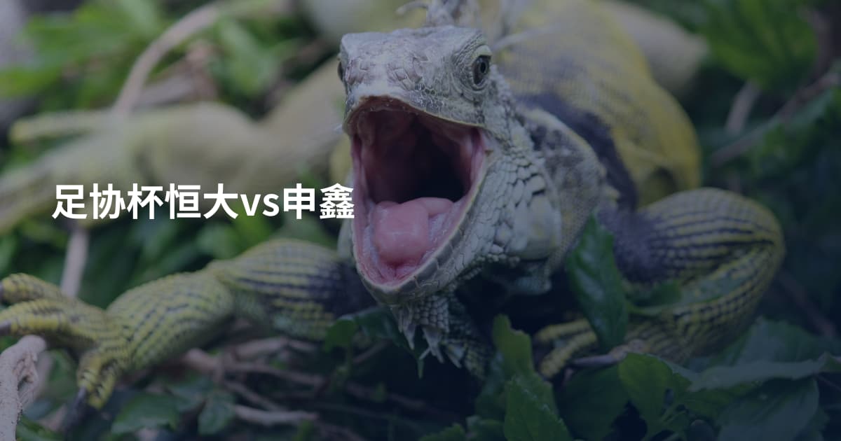足协杯恒大vs申鑫