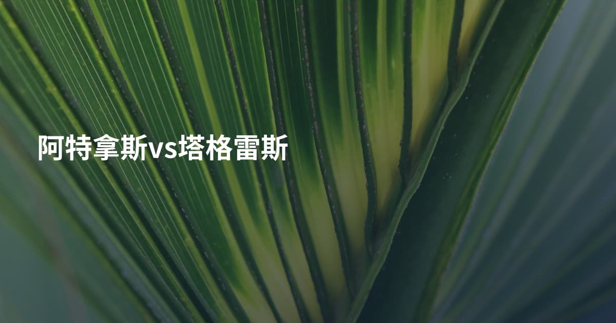 阿特拿斯vs塔格雷斯