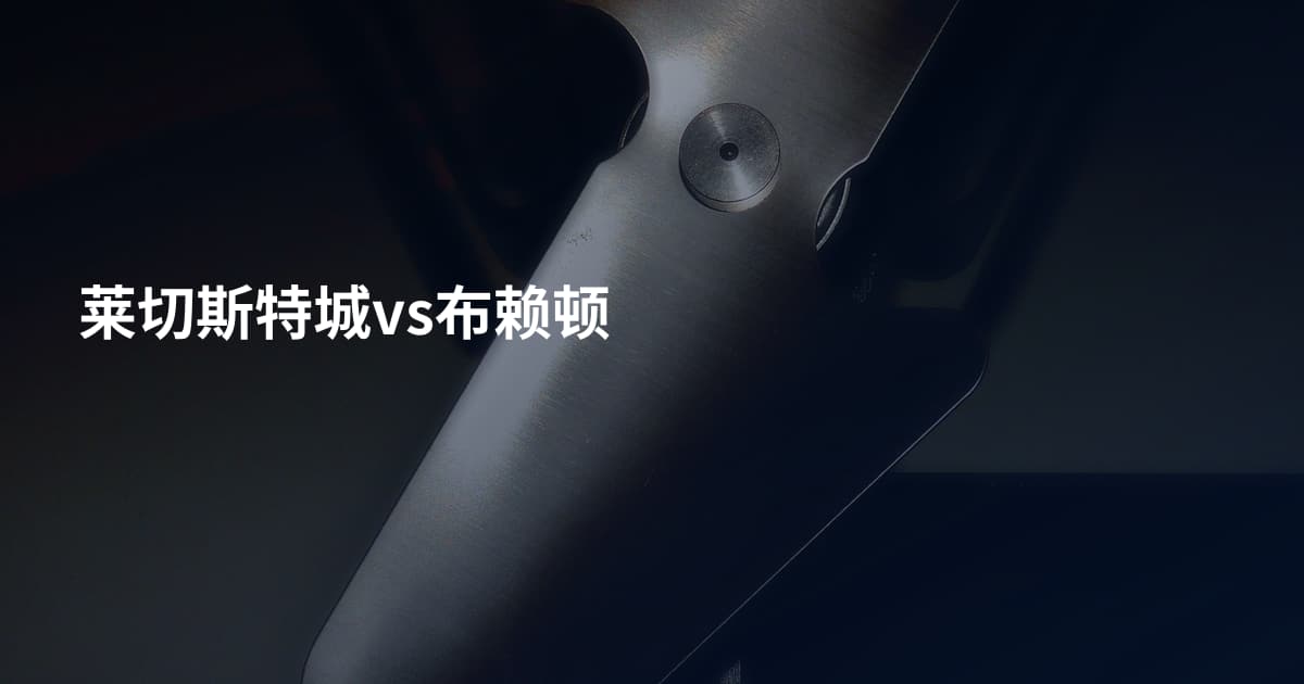 莱切斯特城vs布赖顿
