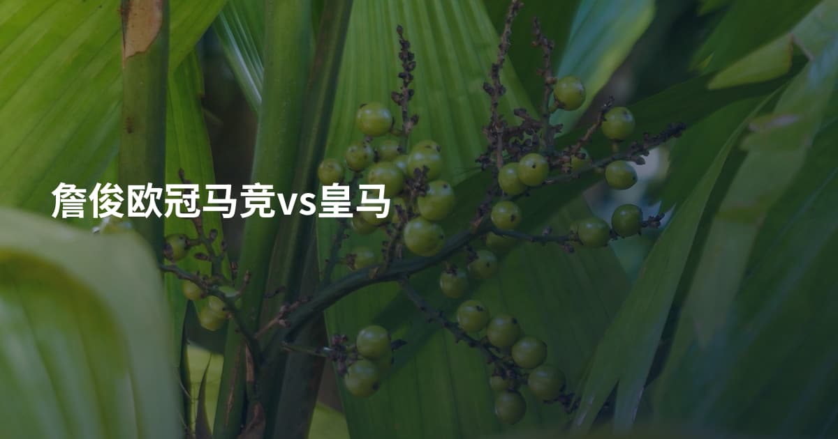 詹俊欧冠马竞vs皇马
