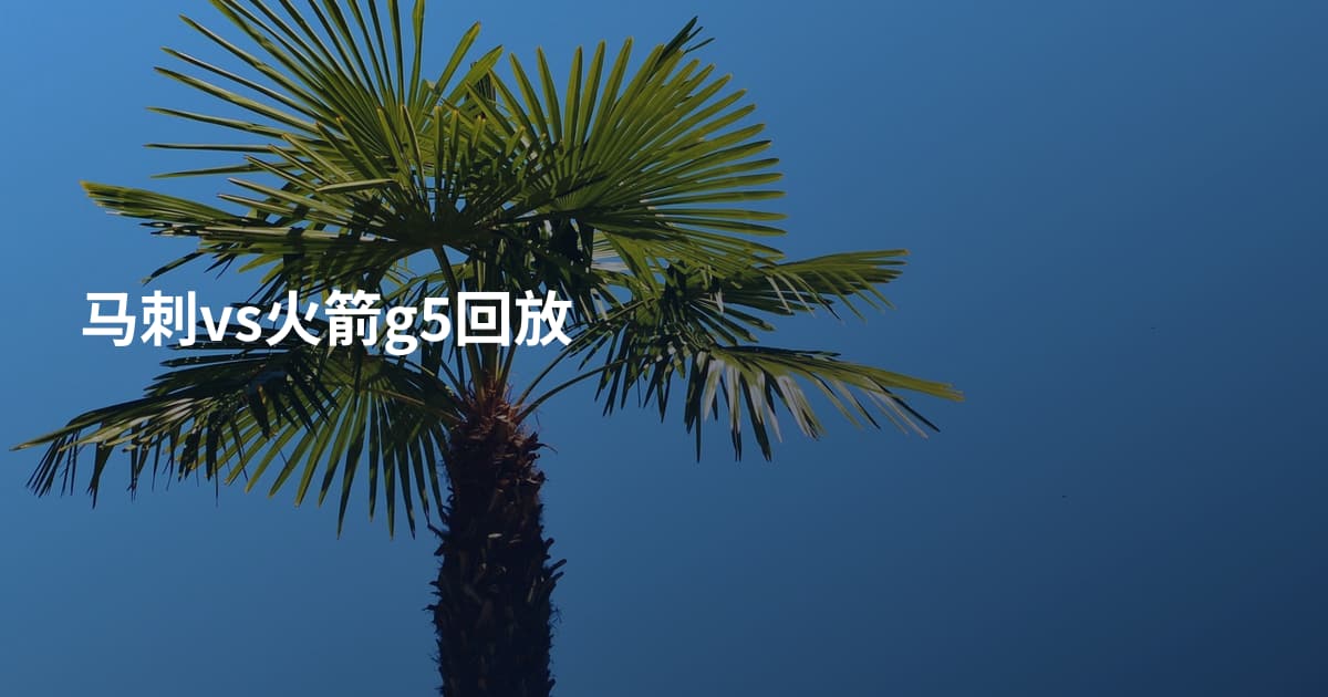 马刺vs火箭g5回放