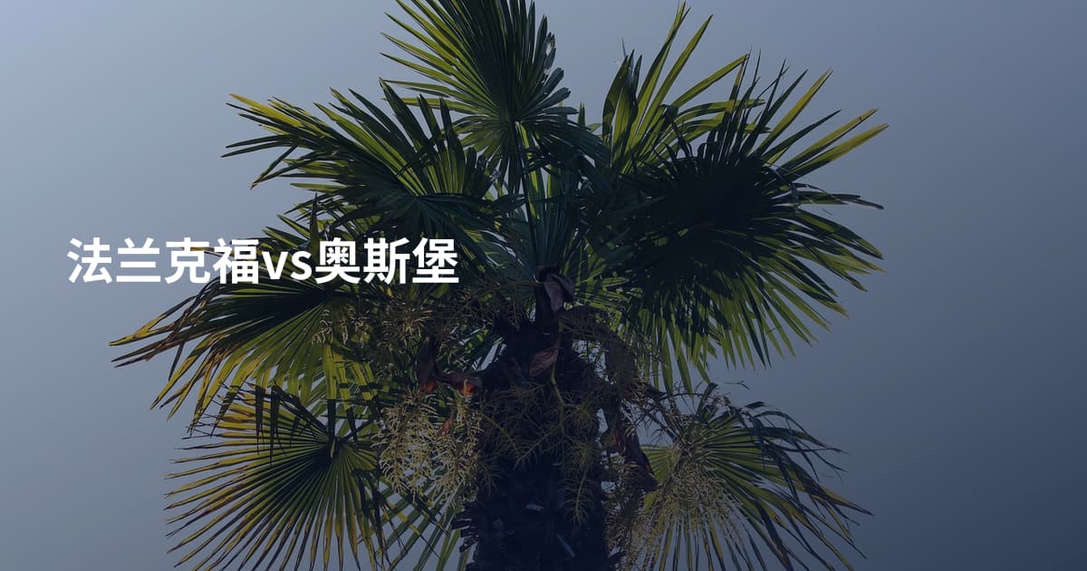 法兰克福vs奥斯堡