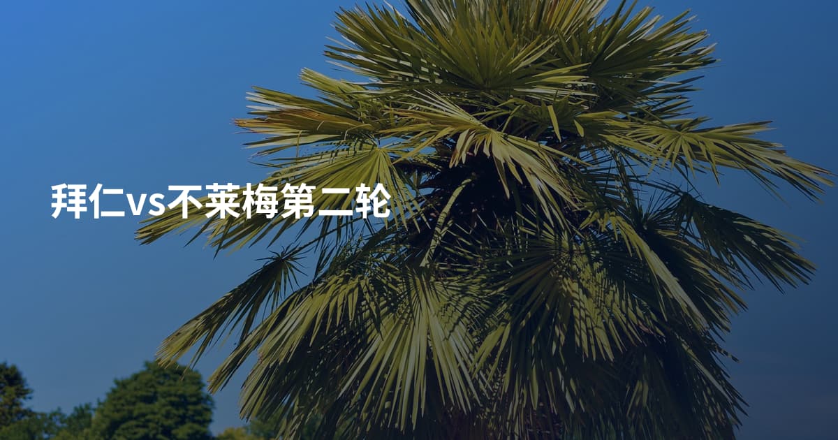 拜仁vs不莱梅第二轮