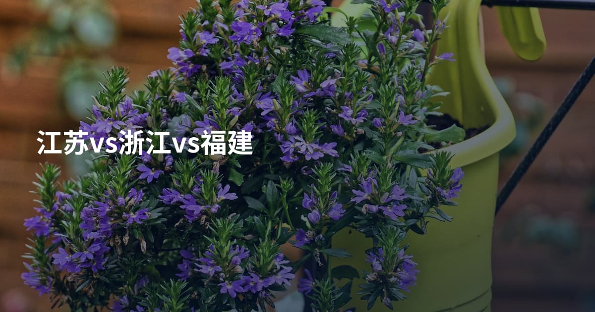 江苏vs浙江vs福建