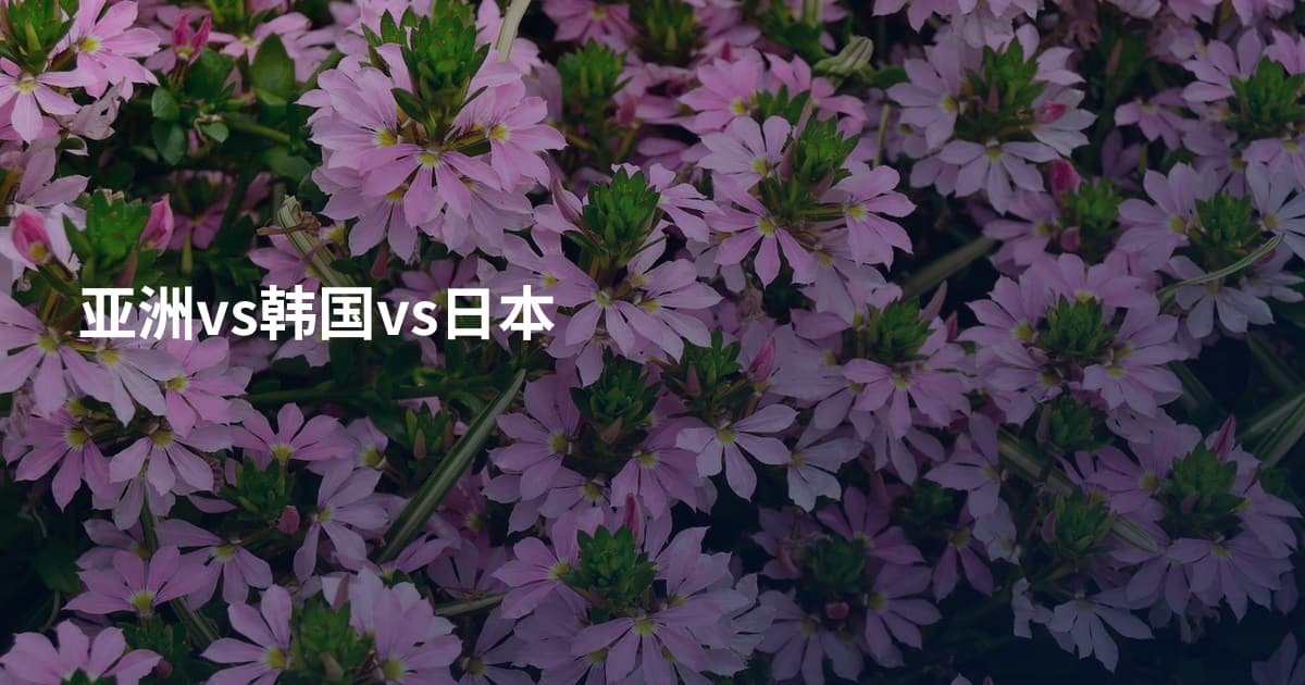 亚洲vs韩国vs日本