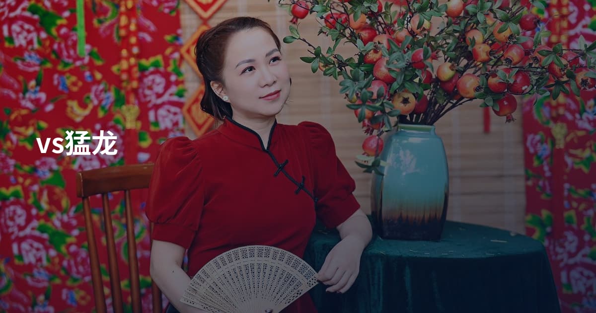 vs猛龙