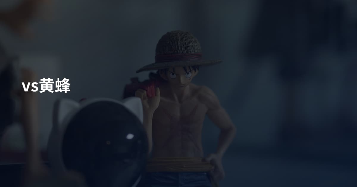 vs黄蜂
