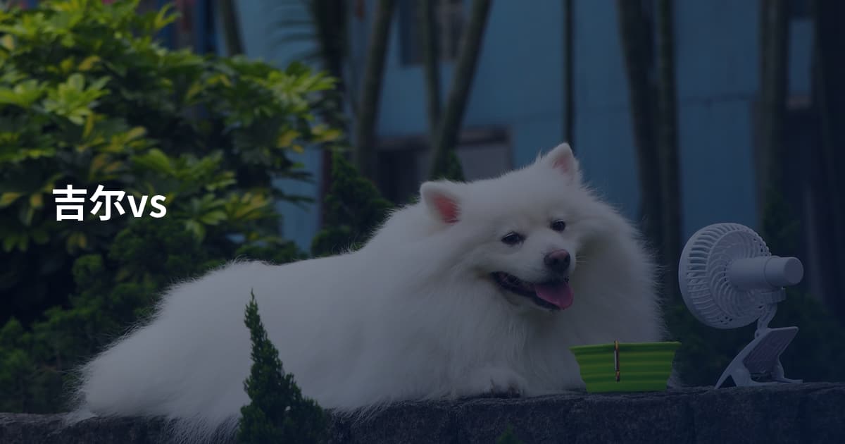 吉尔vs