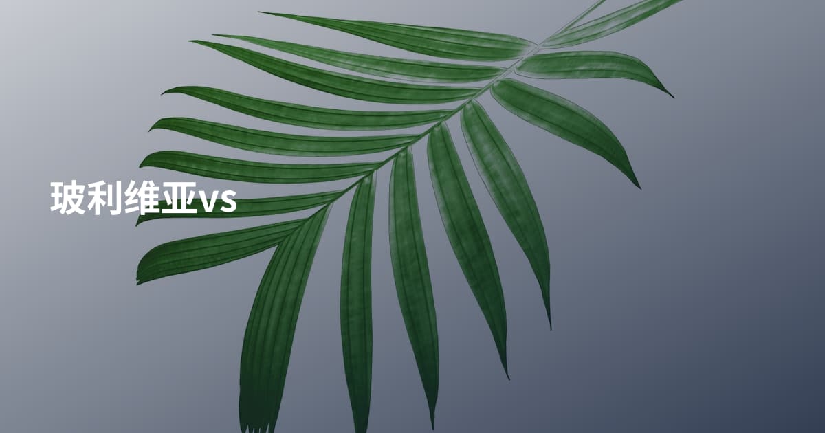 玻利维亚vs