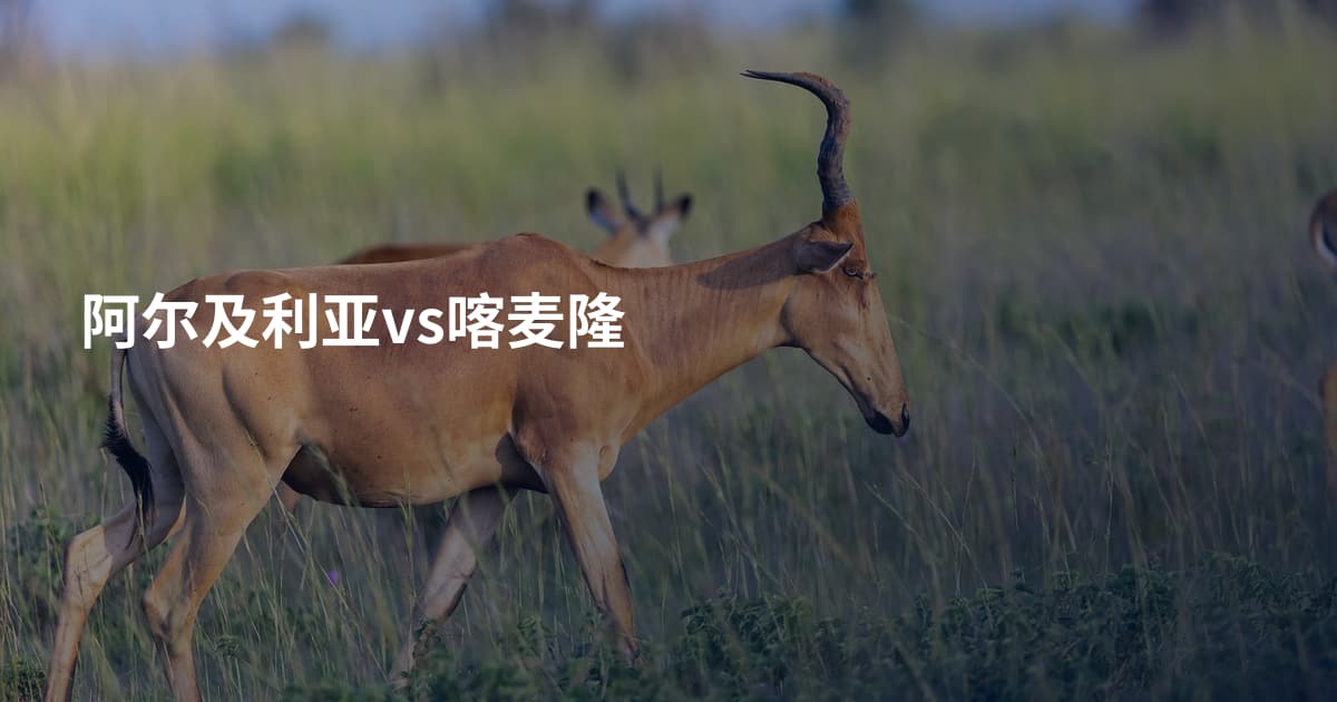 阿尔及利亚vs喀麦隆