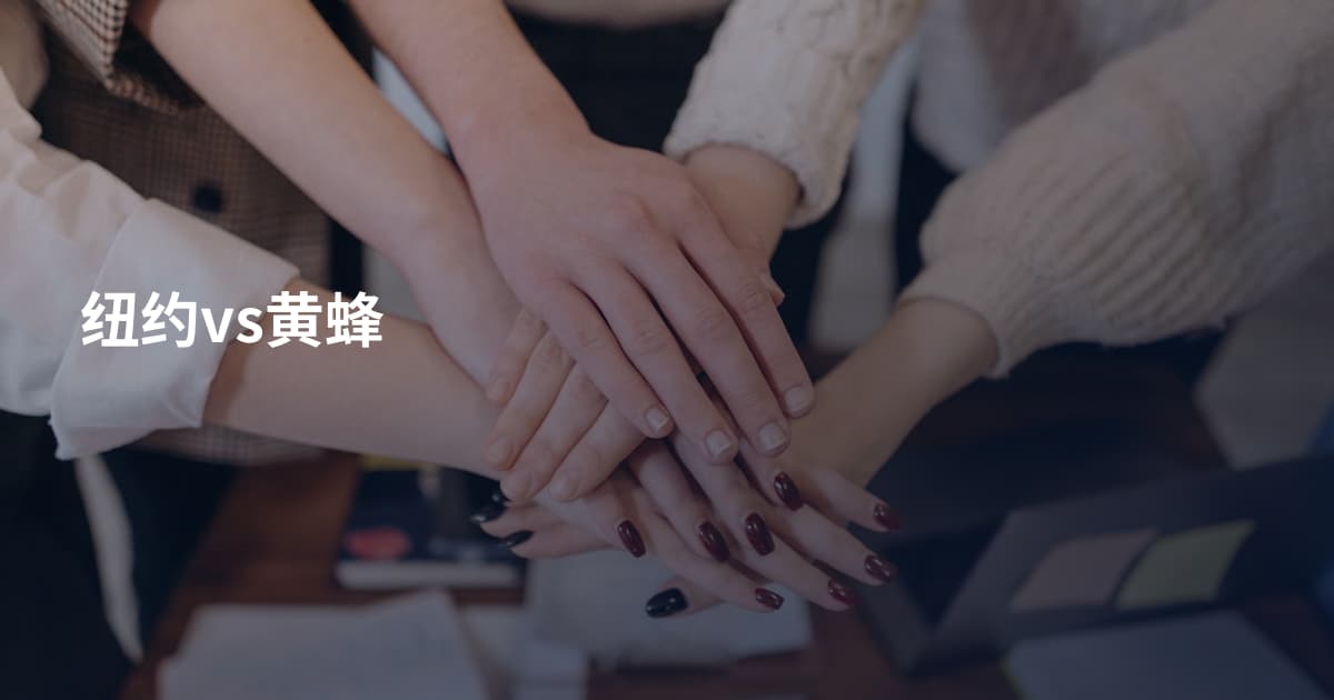 纽约vs黄蜂