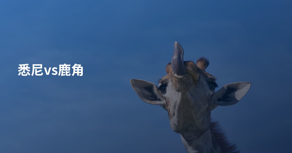 悉尼vs鹿角