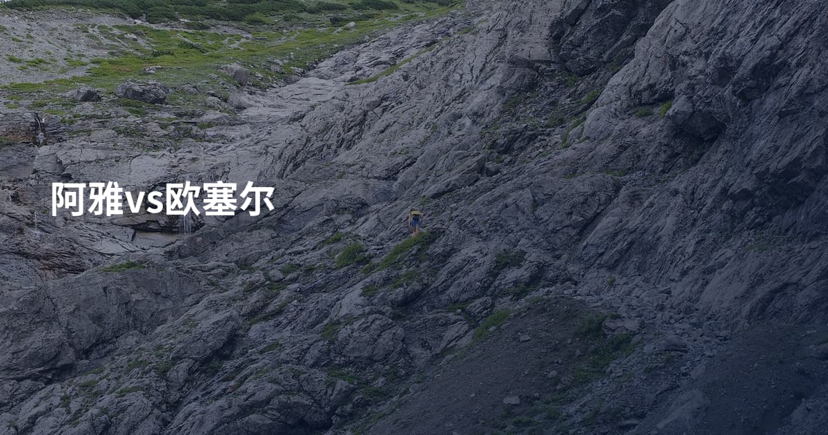 阿雅vs欧塞尔