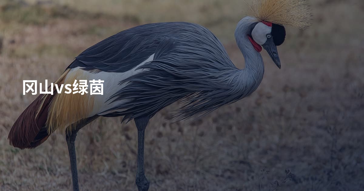 冈山vs绿茵