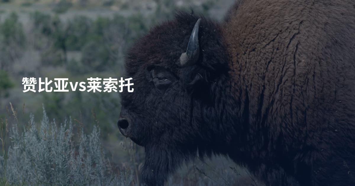 赞比亚vs莱索托