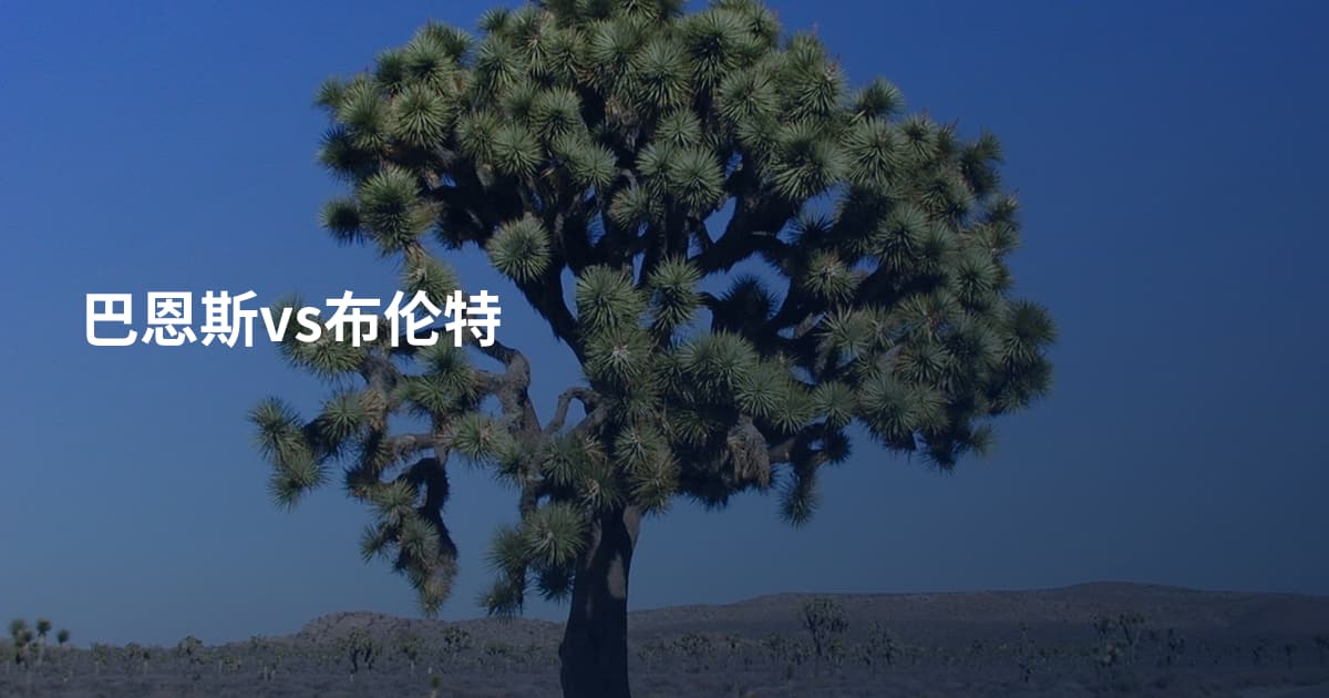 巴恩斯vs布伦特