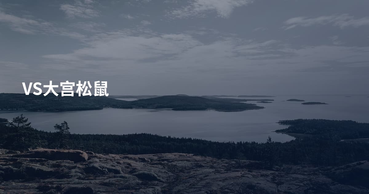 VS大宫松鼠