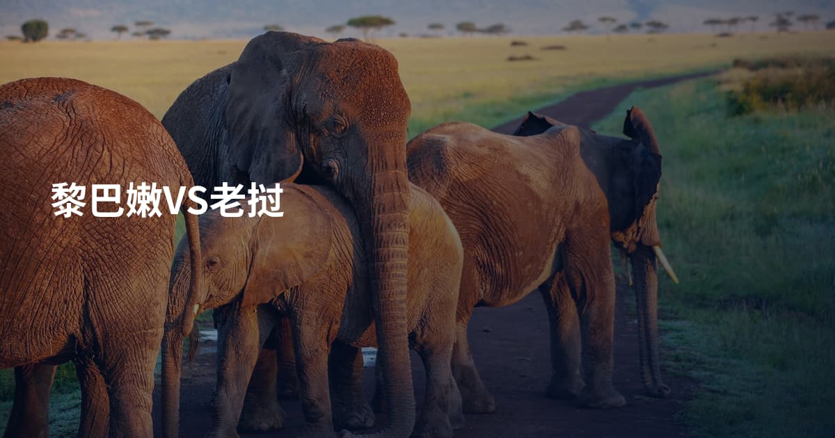 黎巴嫩VS老挝