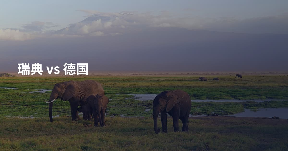 瑞典 vs 德国