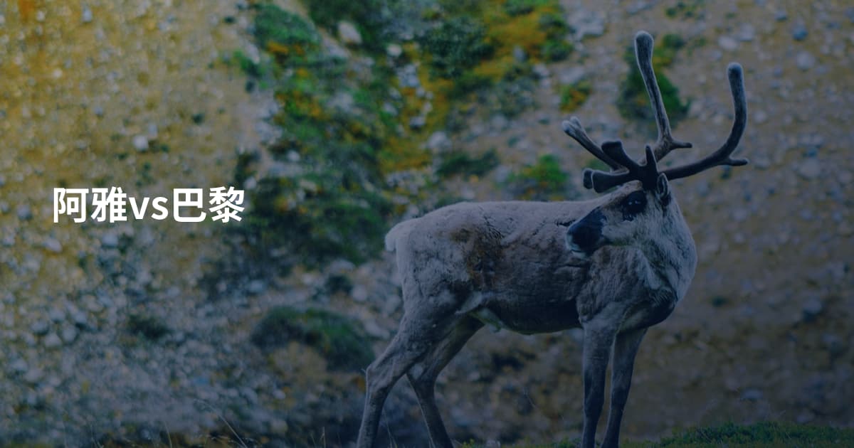 阿雅vs巴黎
