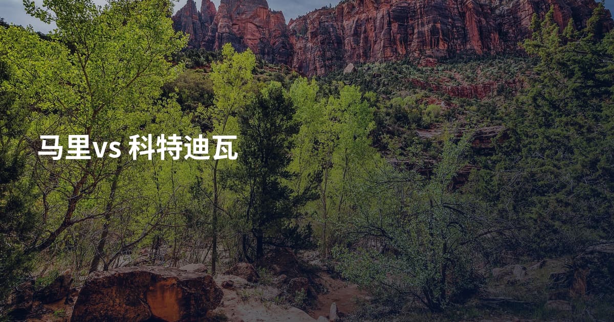 马里vs 科特迪瓦