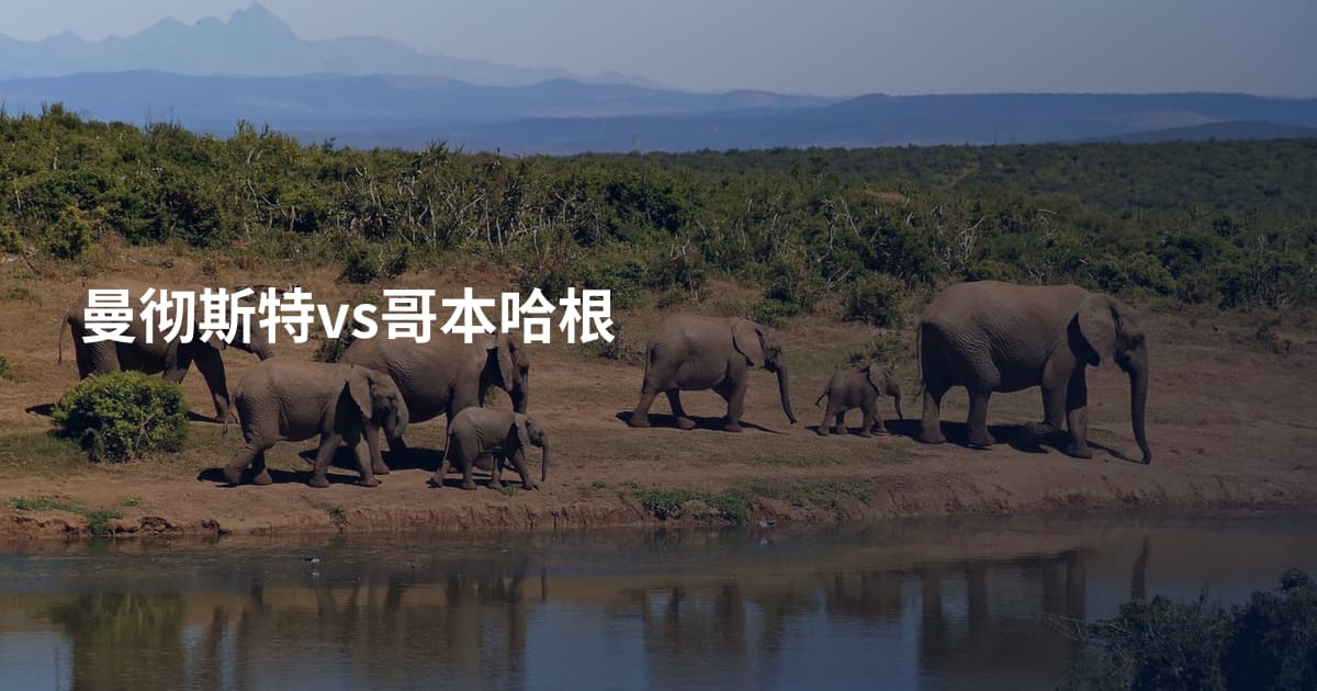 曼彻斯特vs哥本哈根