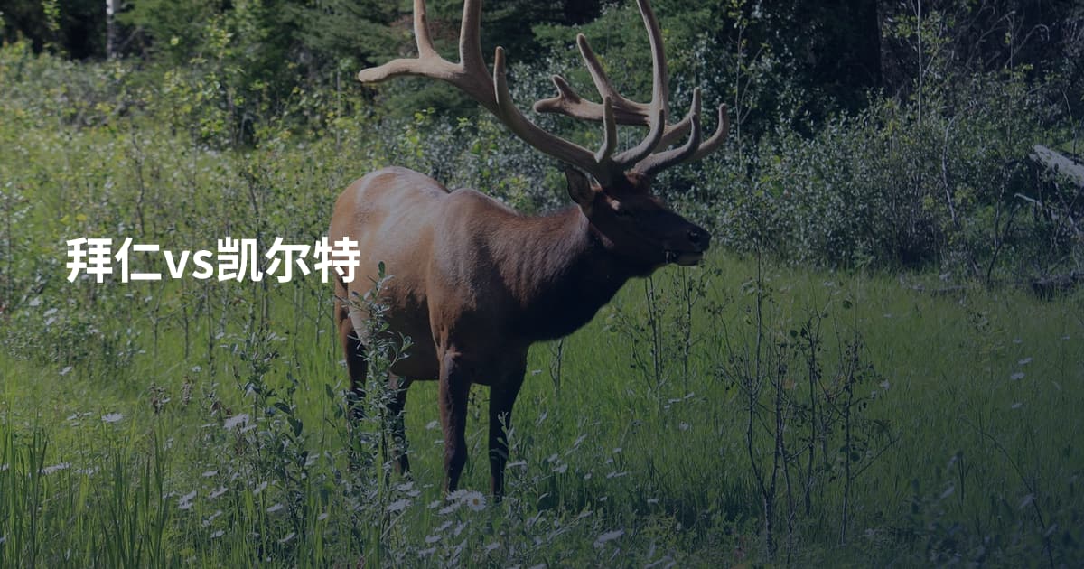 拜仁vs凯尔特