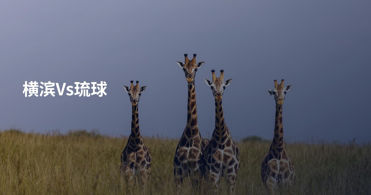 横滨Vs琉球