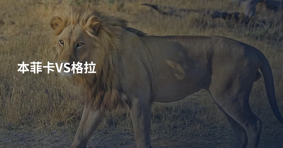 本菲卡VS格拉