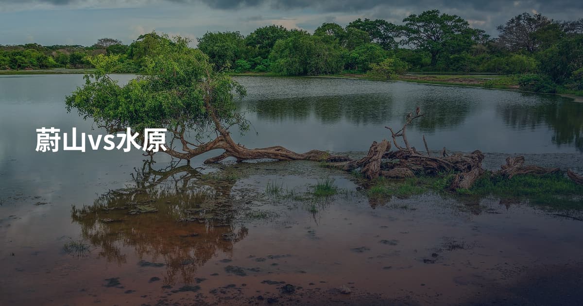蔚山vs水原