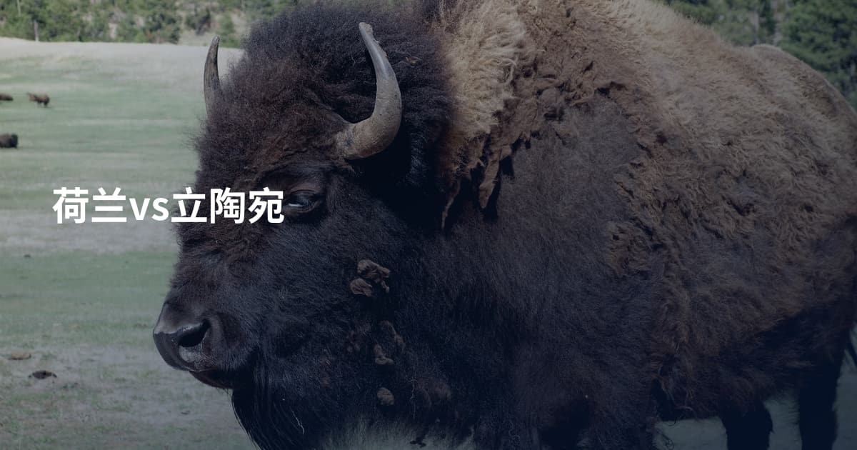 荷兰vs立陶宛
