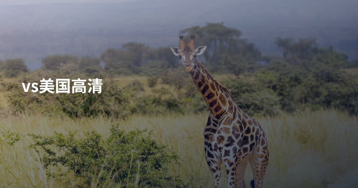 vs美国高清