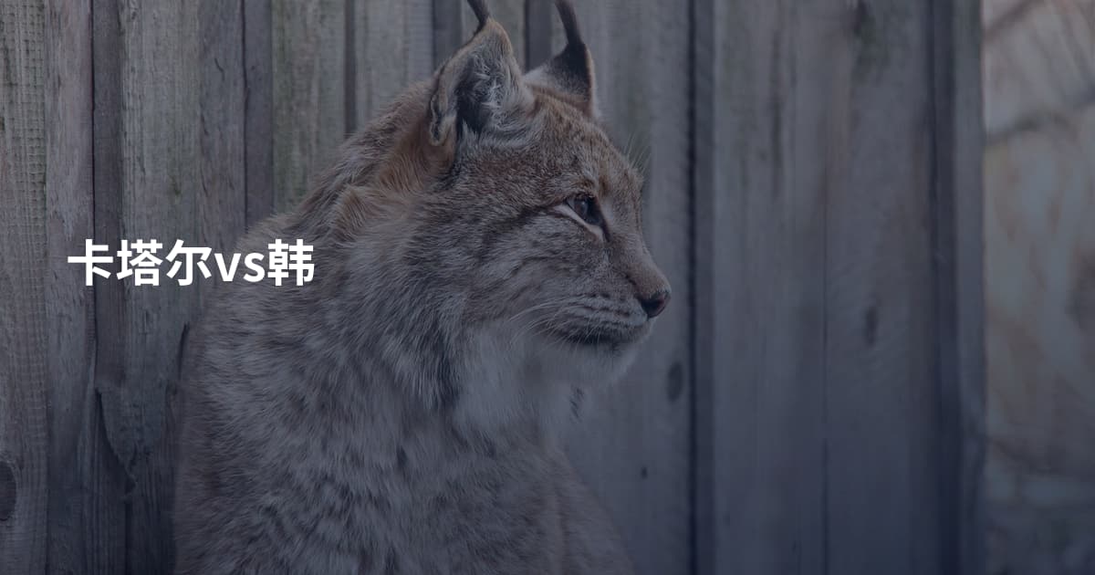 卡塔尔vs韩