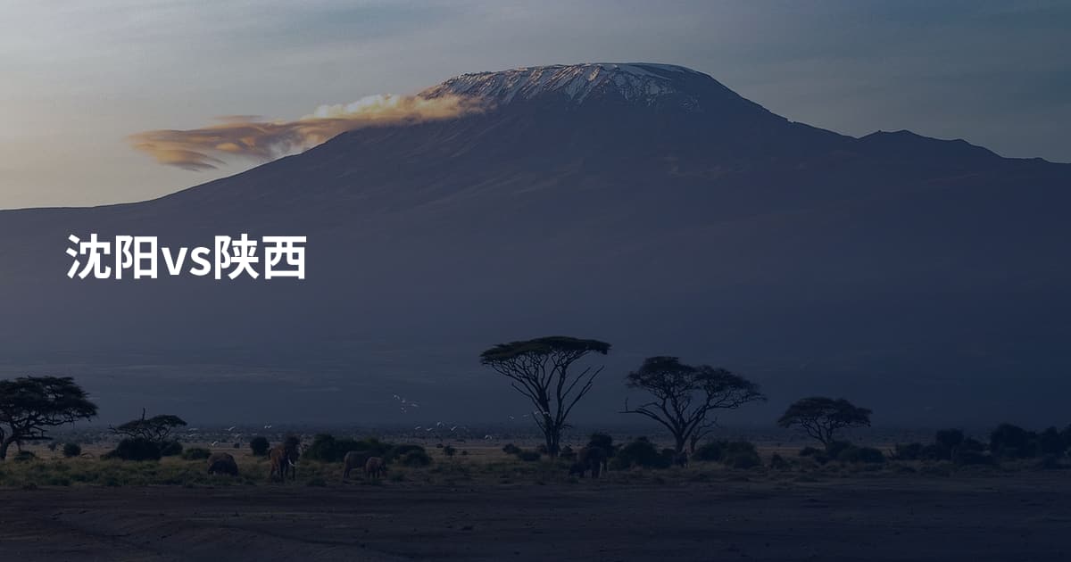 沈阳vs陕西