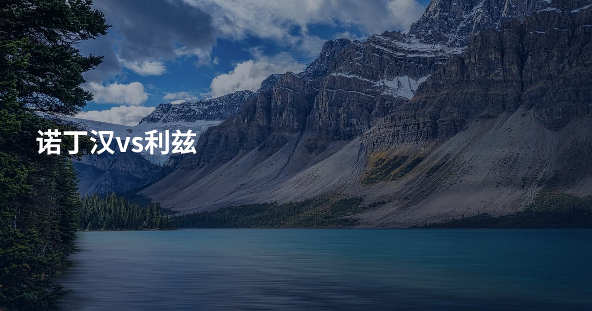 诺丁汉vs利兹