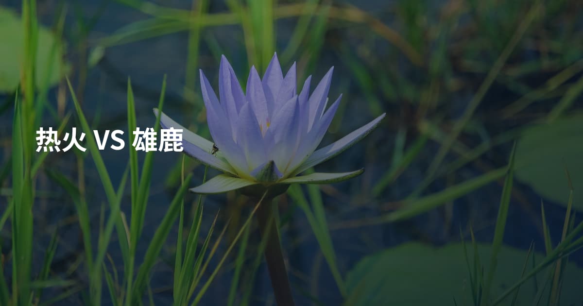 热火 VS 雄鹿